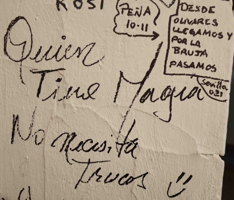 Lee más sobre el artículo MENTIR