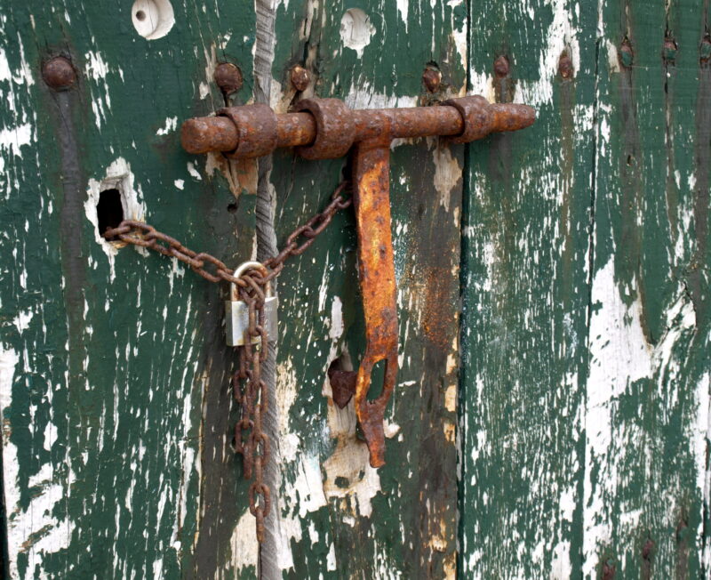 Lee más sobre el artículo EN TIERRA EXTRAÑA