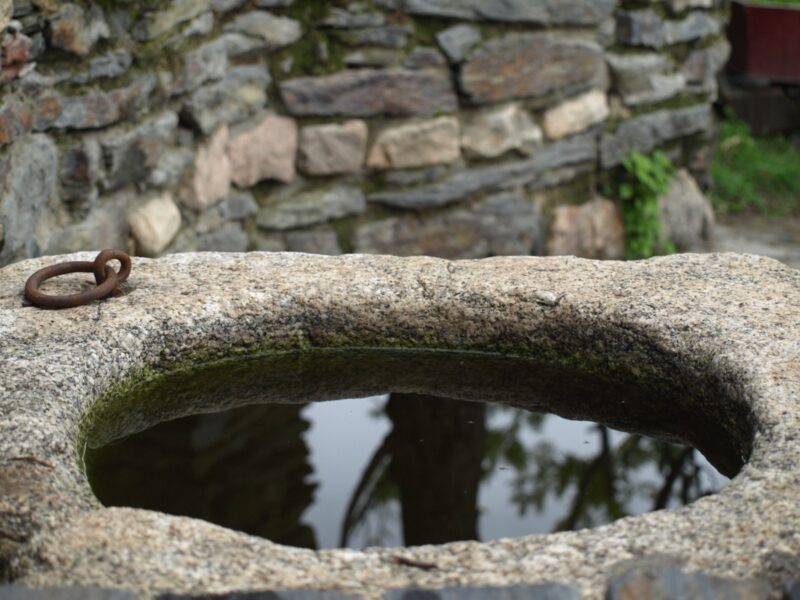 Lee más sobre el artículo AVISPERO