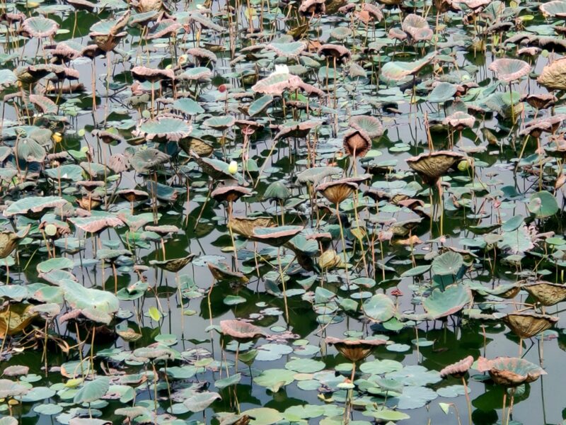 Lee más sobre el artículo ABISMO