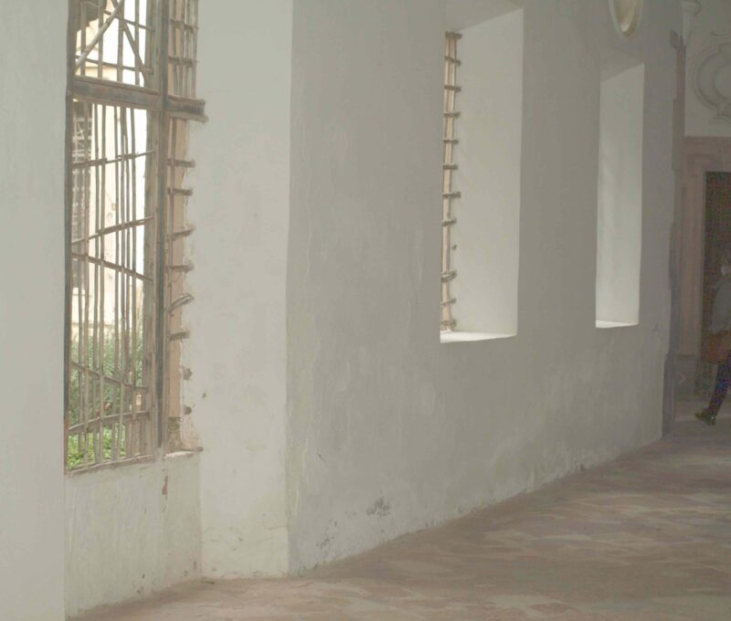 Lee más sobre el artículo Si las barbas…