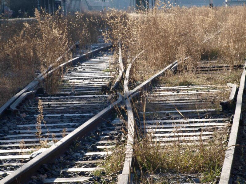 Lee más sobre el artículo OLVIDAR PARA NO LLORAR
