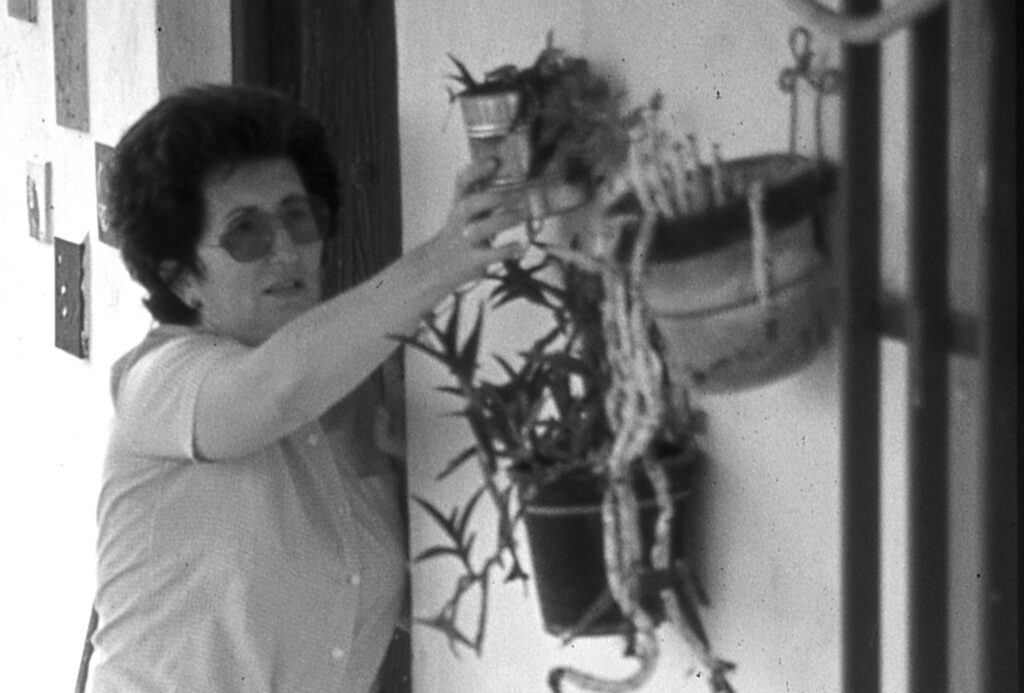 Celia canicas artículos prensa