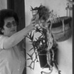 CELIA