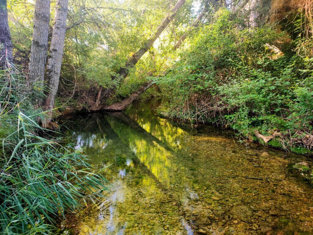 sesión informativa diciembre 2025