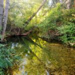 Sesión informativa (estructura de las oposiciones a profesores/catedráticos de música y artes escénicas)