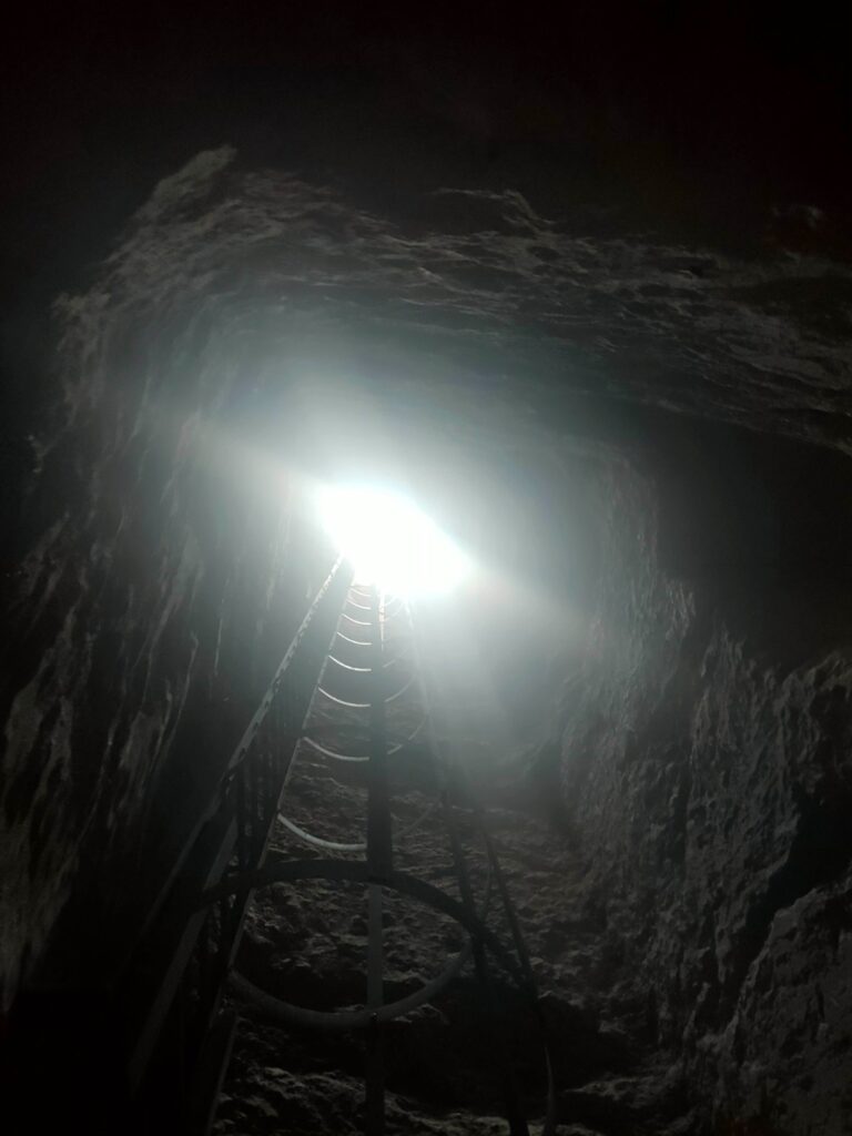 El mediocre arrogante canicas artículos prensa