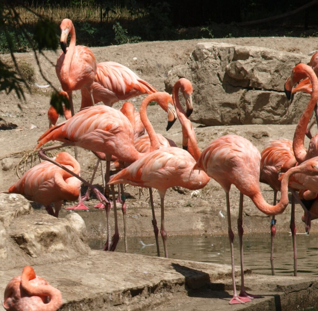 El “quedabién” canicas artículos prensa