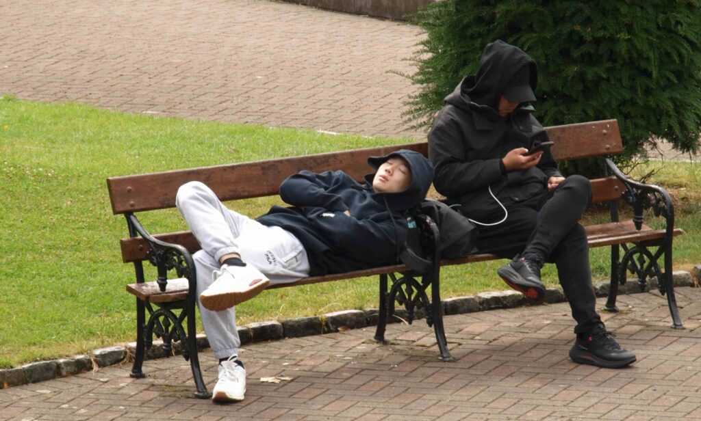 CURSO PROGRAMACIONES Y UNIDADES DIDÁCTICAS enero-junio 2025