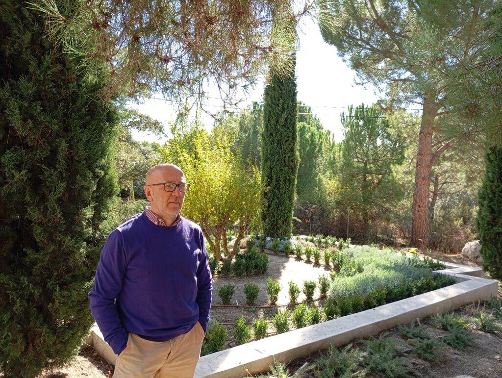 Francisco José Segovia AÑEJAS SONADAS OLCADES 2