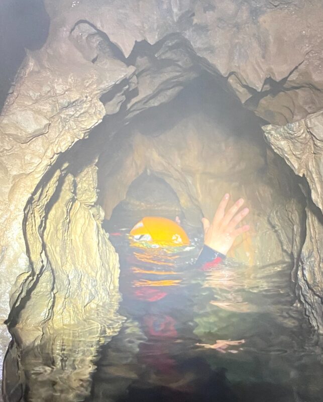 Lee más sobre el artículo El eco de las hienas