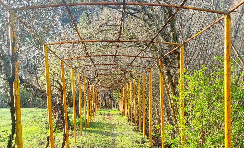 Taller temas comunes 2026