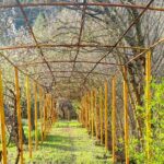 TALLER DE TEMAS «COMUNES» 2026