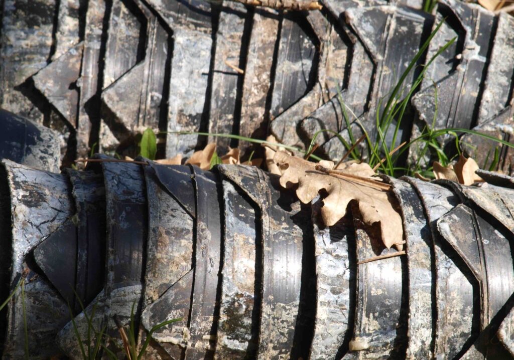 Luciérnagas sin cerebro canicas artículos prensa