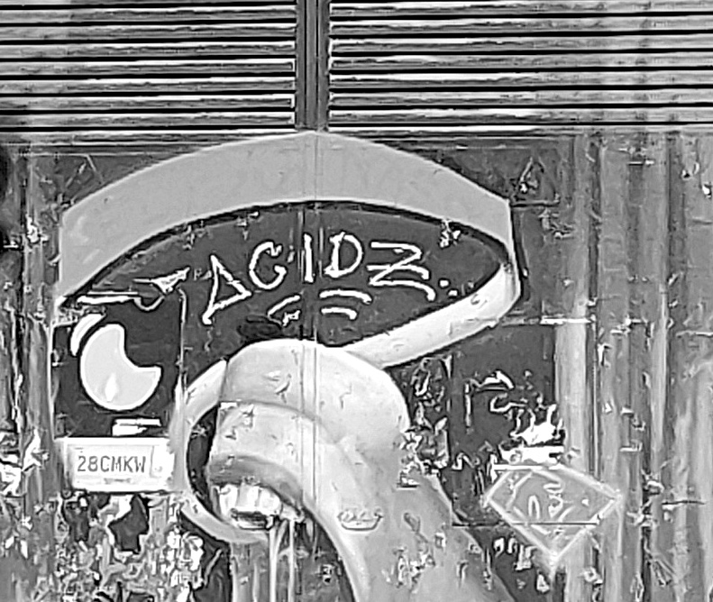 Therian… y sin complejos canicas artículos prensa