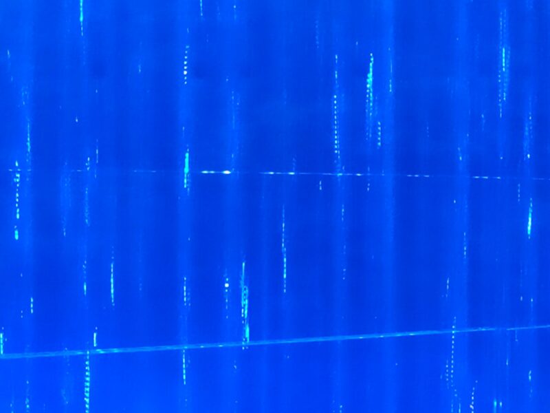 Lee más sobre el artículo Discutir con bobos