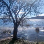 Curso análisis oposiciones música abril 2026