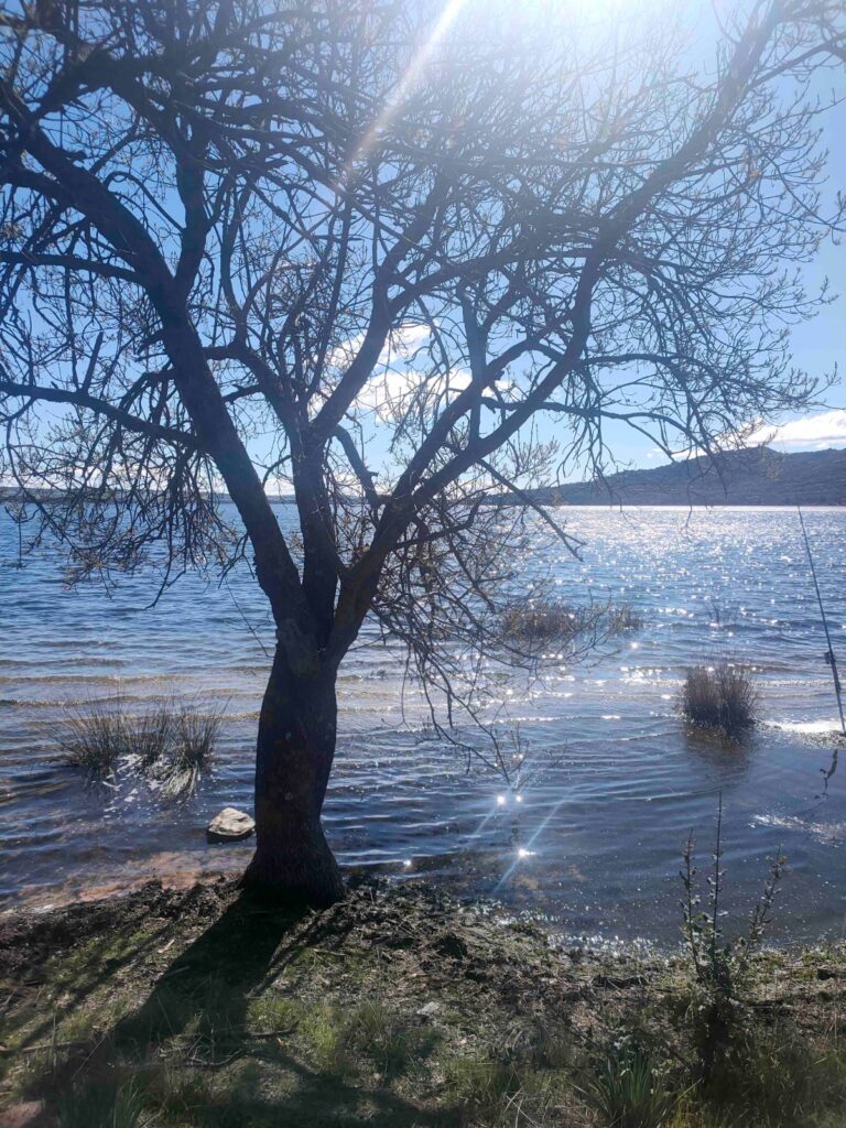 Curso análisis oposiciones música abril 2026