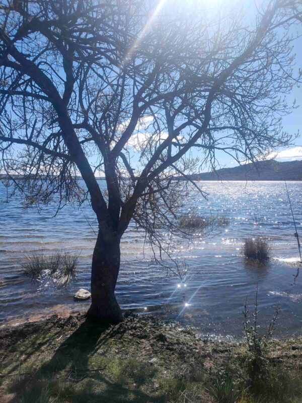 Lee más sobre el artículo Curso análisis oposiciones música abril 2026