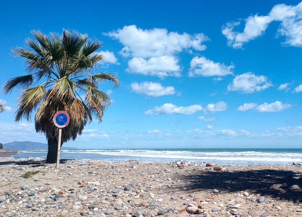 Test del mediocre canicas artículos prensa