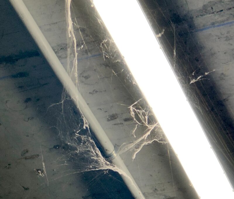 Lee más sobre el artículo Callar y aguantar